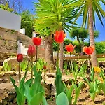 酒店 Casalinho Da Azenha - Charm House