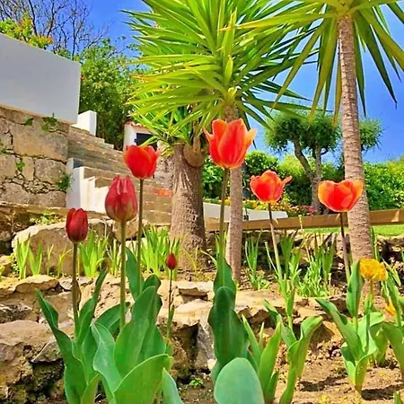 Hotel Casalinho Da Azenha - Charm House
