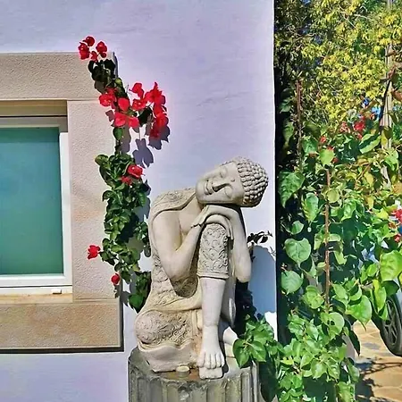 Casalinho Da Azenha - Charm House